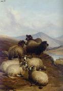 unknow artist Sheep 192 oil painting reproduction